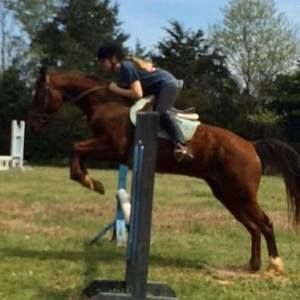 Meet your Posher, Natalia